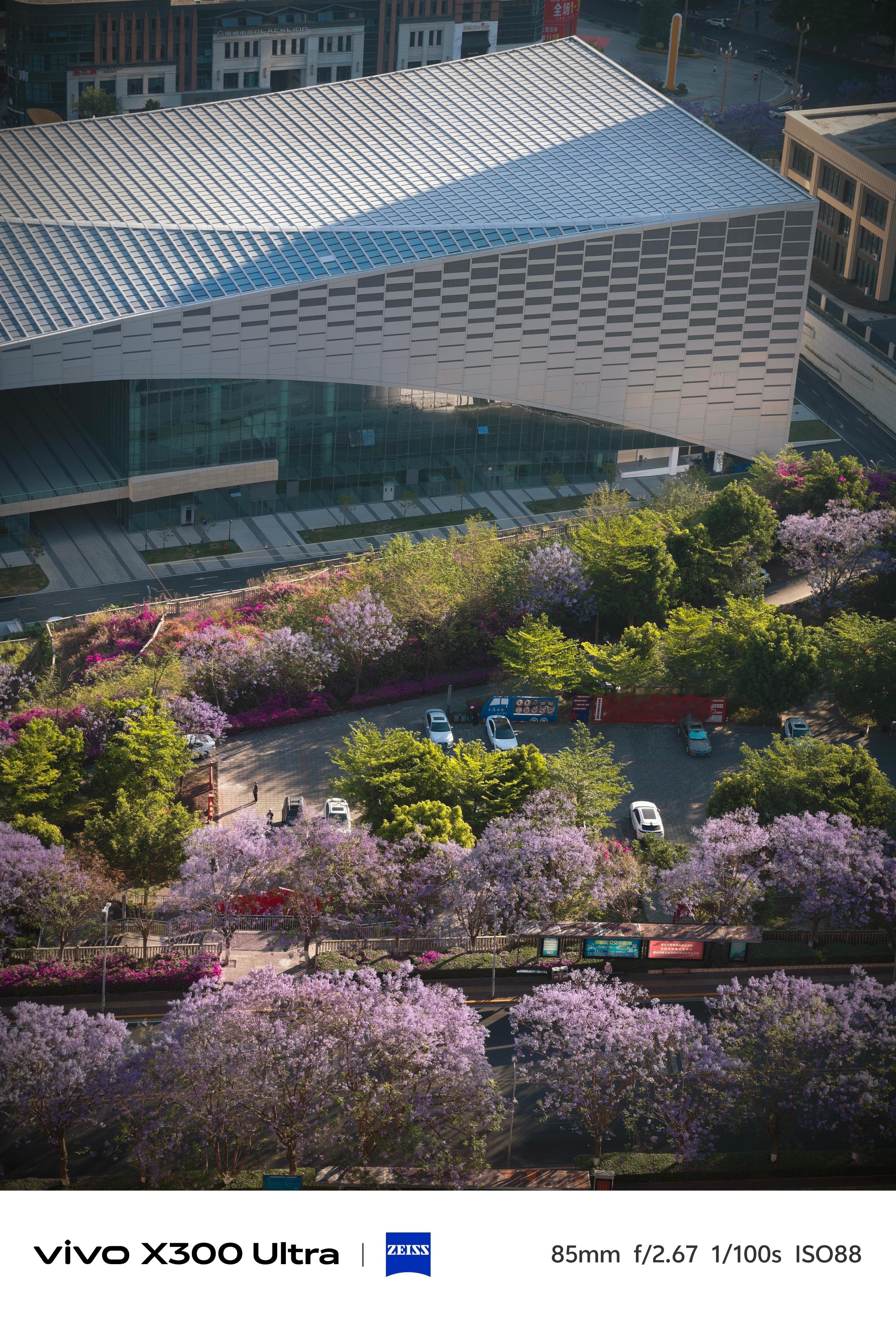 今天又是美哭的一天蓝花楹过了就是凤凰花了一城阳光半城花