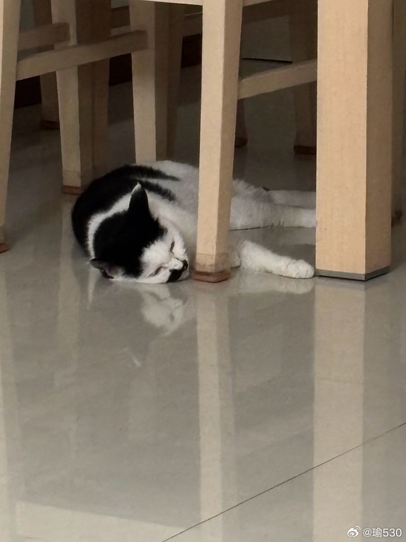 晚安💤 