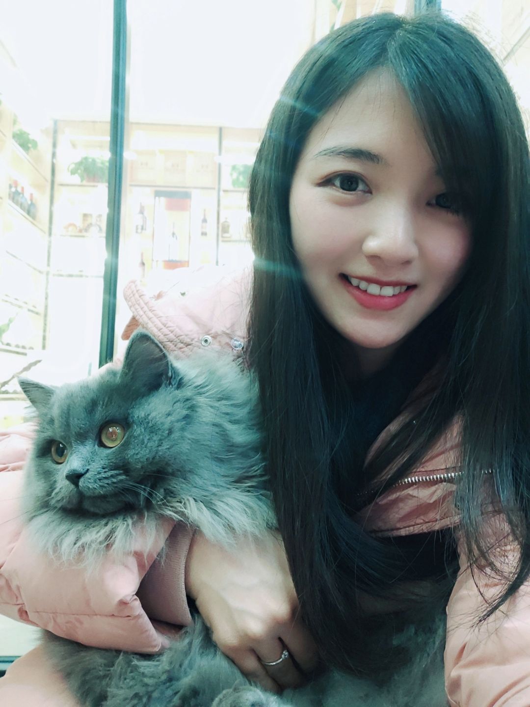 变成一只猫🐱