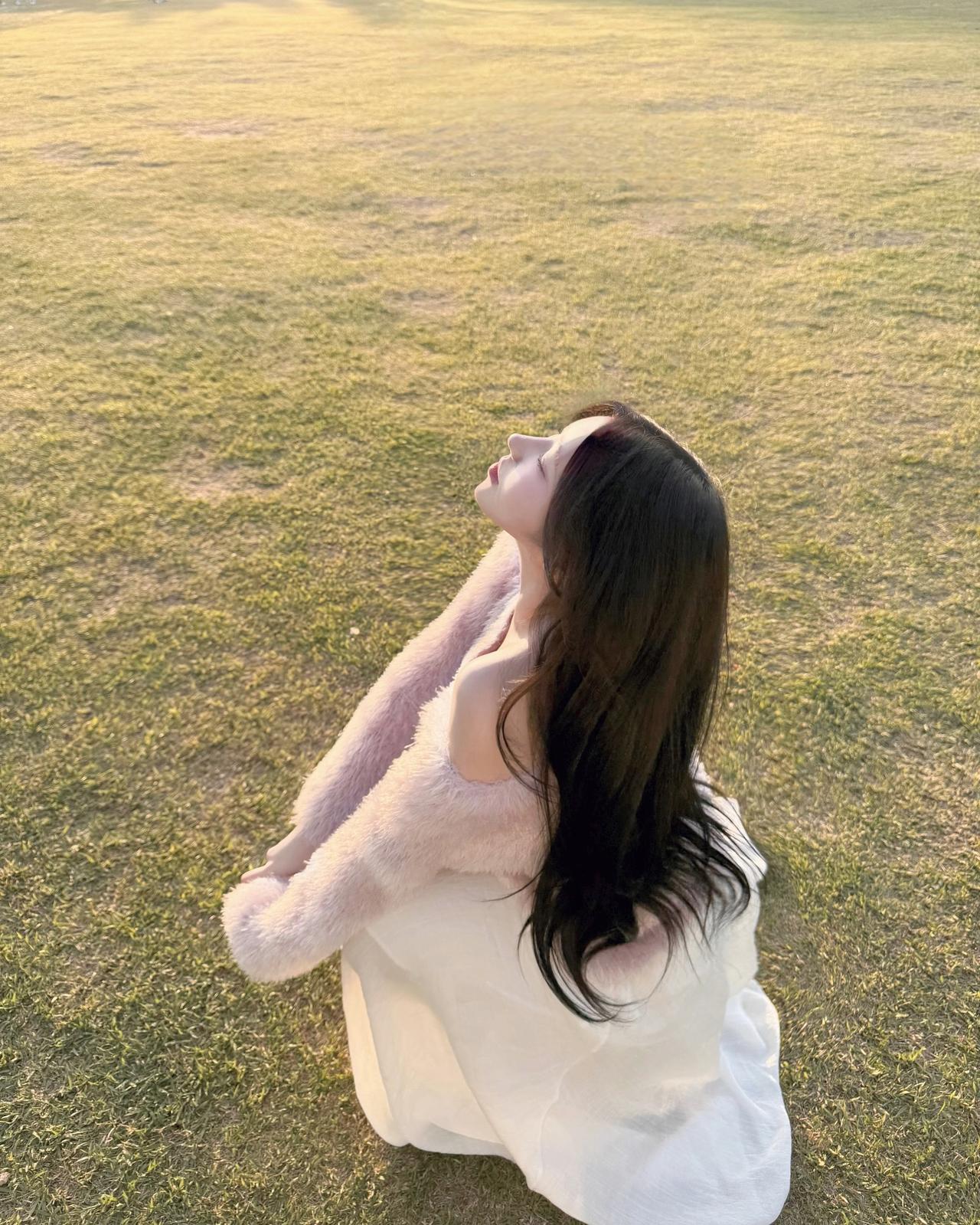 阳光洒满的草地，温柔地拥抱自由。