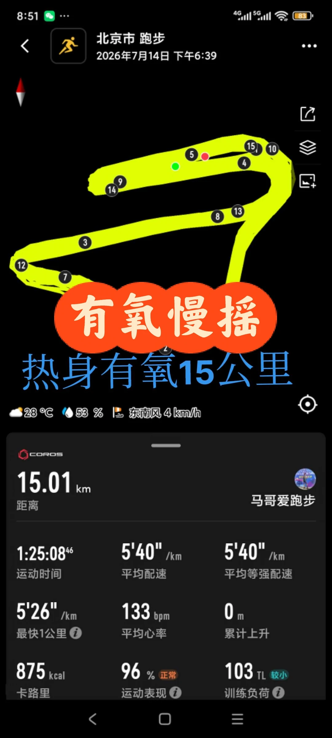 日常打卡