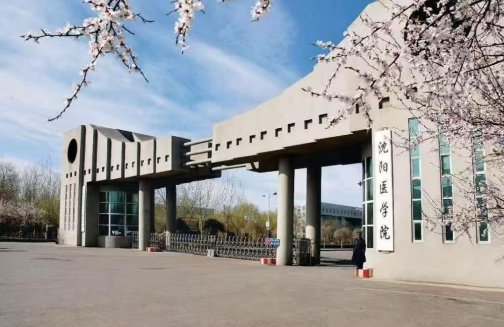 沈阳医学院宣布将全力冲刺更名为“医科大学”，这是该校未来五年的核心目标。作为辽宁