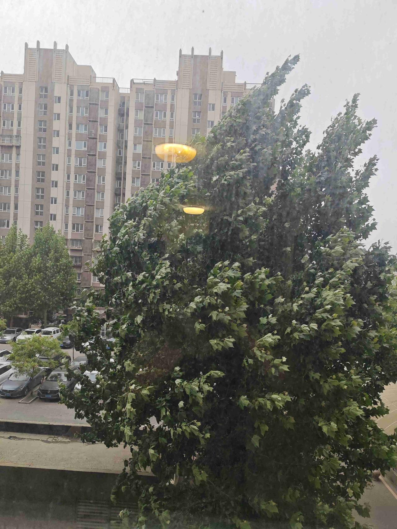我的今日状态：😁轻松愉快
我这里的天气：🍂微风
早晨四点起床
现在六点
做完