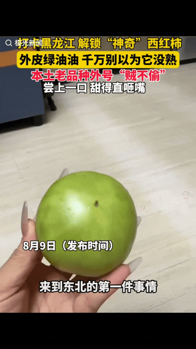 女子听说黑龙江有一种西红柿，叫“贼不偷”，且熟透仍绿油油的，甜度惊人，女子一开始