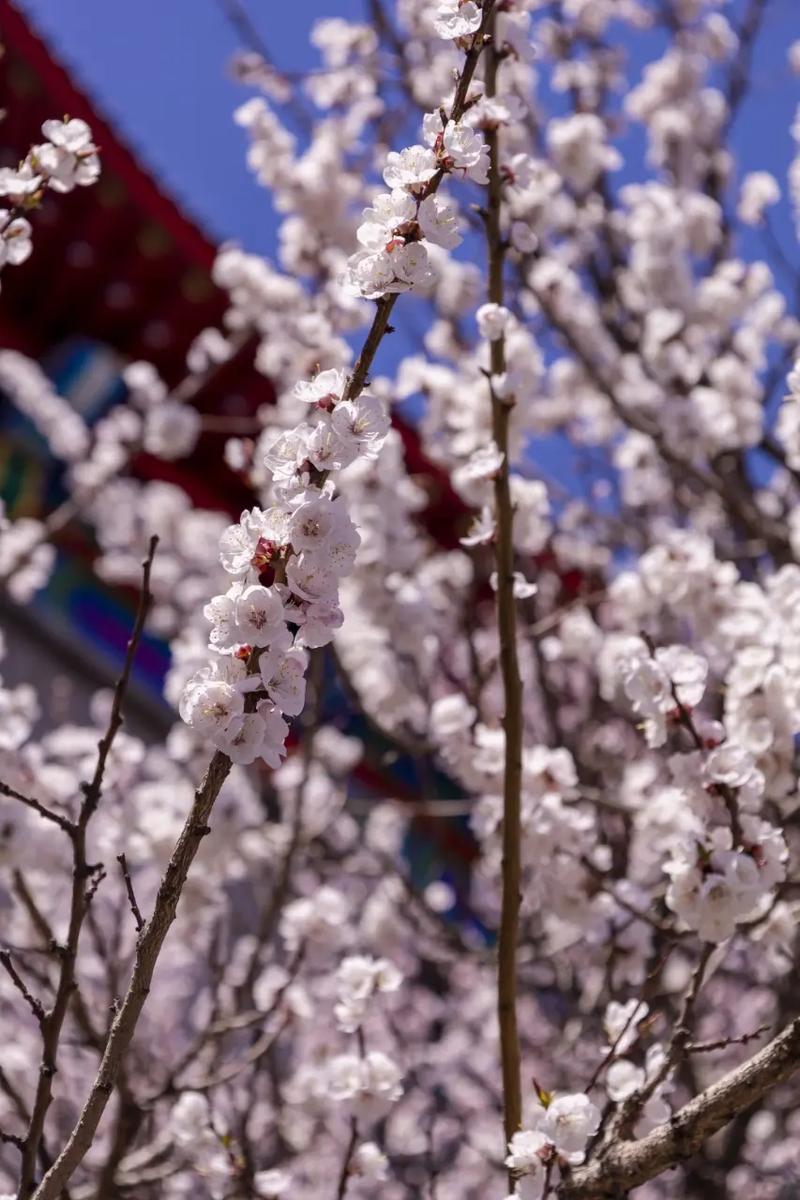 圈子干净，便是最好的风水
 
不必把太多人请进生命里，人海相逢万千，知心寥寥无几