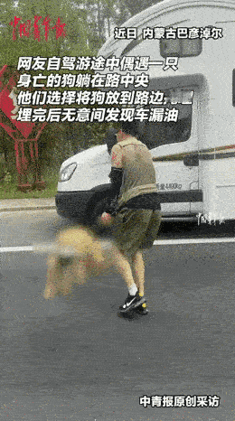 “也许这就是因果吧！”内蒙古，一对夫妻在公路上，看见一只大狗被撞身亡，夫妻俩不忍