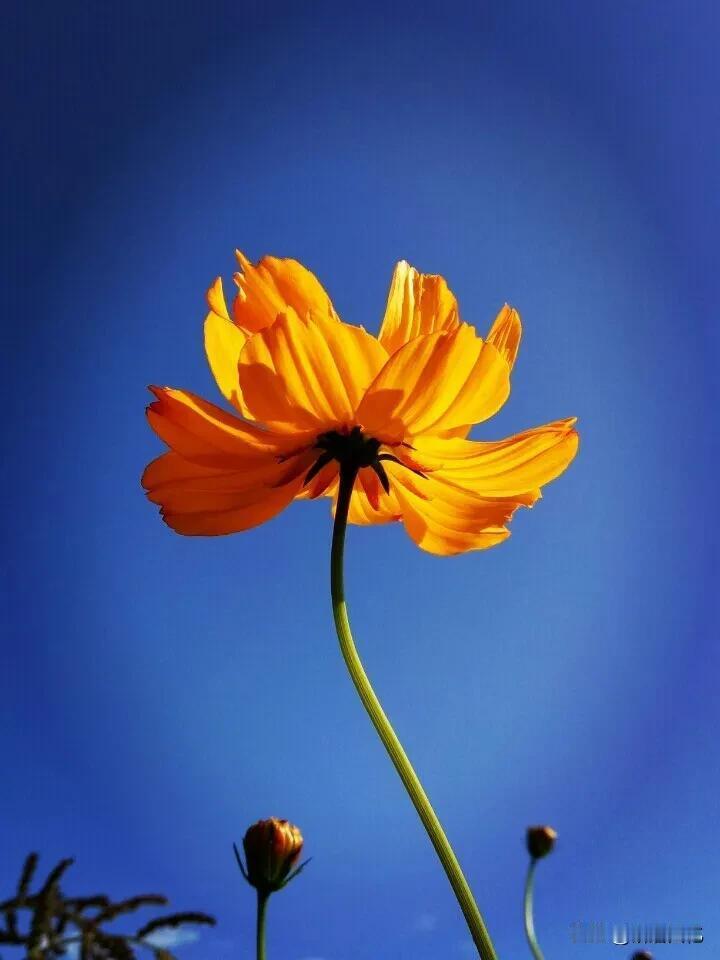 夫妻之间不要总是吵架了——夫妻吵架感悟

  对门邻居两口三天两头吵架，听着也就