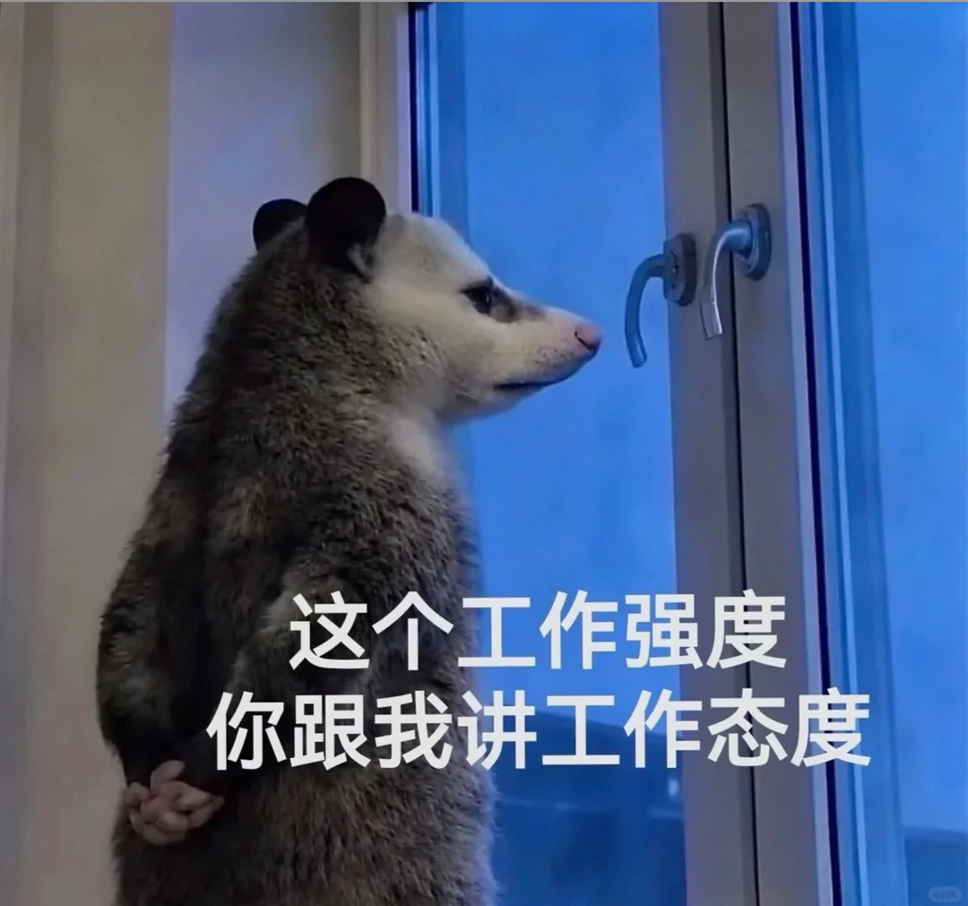 可爱负鼠第一弹，这谁不爱啊