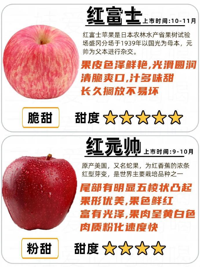 市面上常见的苹果区别和口感。一天一个苹果🍎医生远离我。 