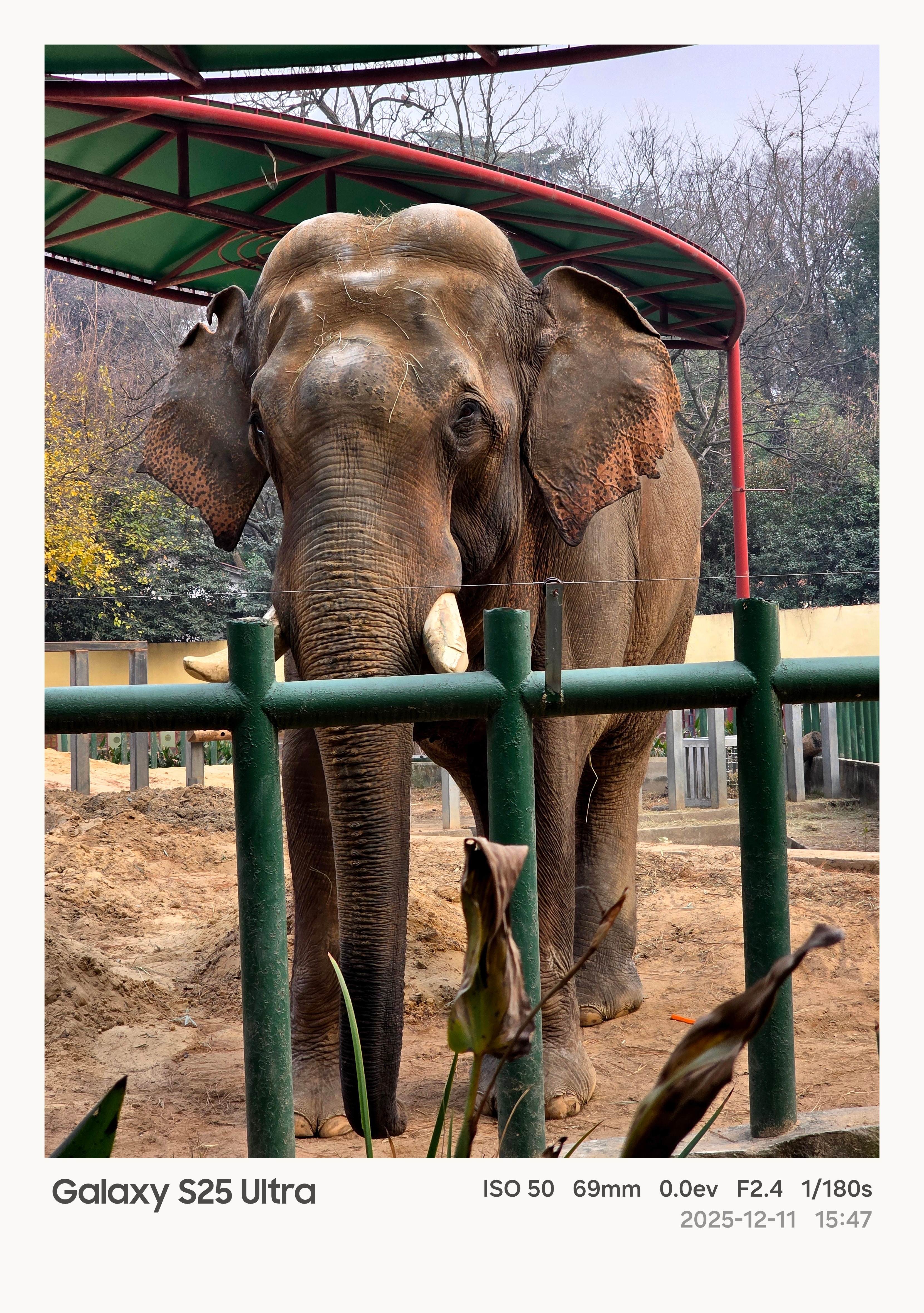 红山动物园随拍，粉丝里有人去过吗？ 