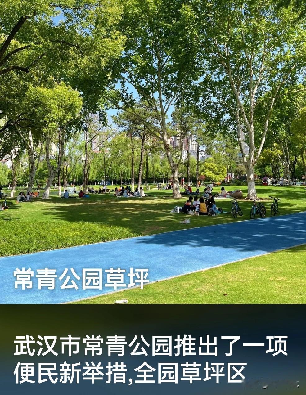 武汉市常青公园推出便民新举措，全面开放园内所有草坪区域，允许市民进行露营活动。‌