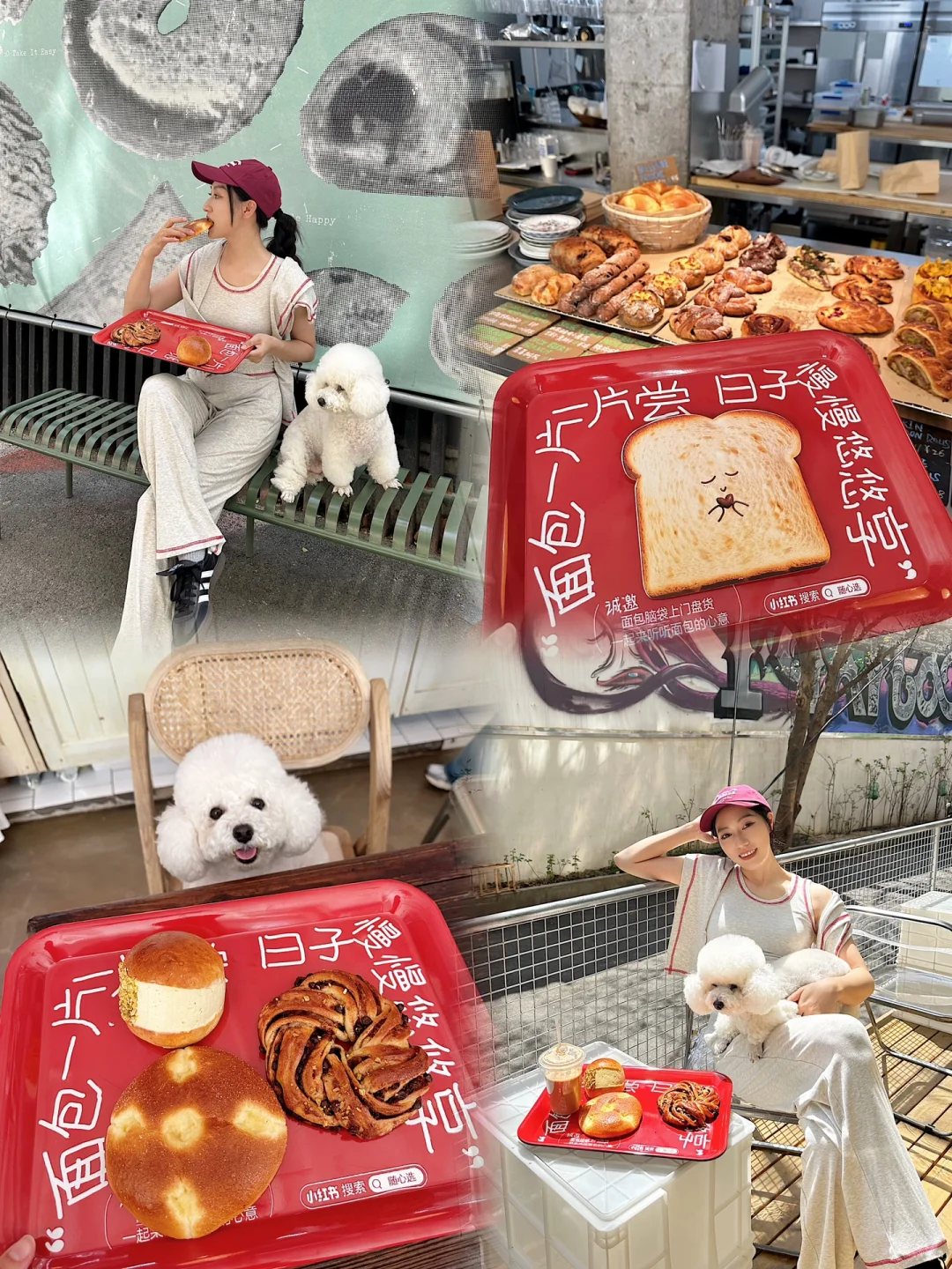 面包的心意🥨和小狗打卡韩里韩气的面包店