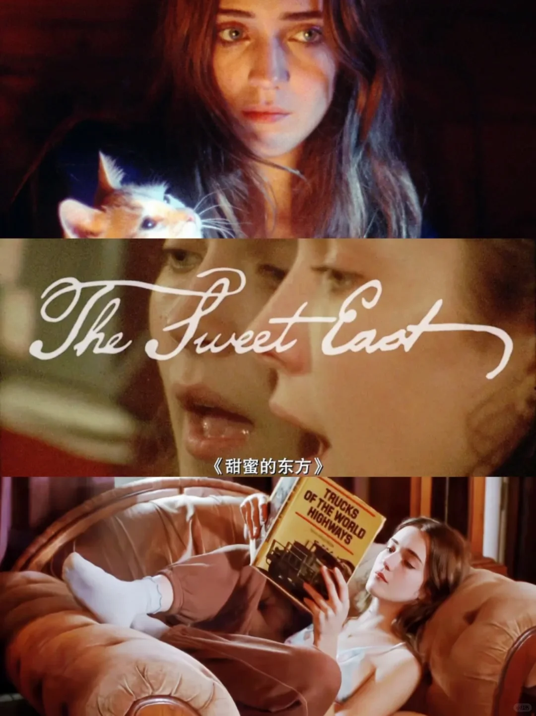 戛纳佳作🎦我崇拜流浪，变化和幻想