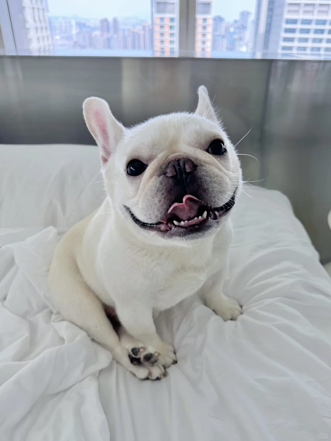 人！我上床了！略略略～