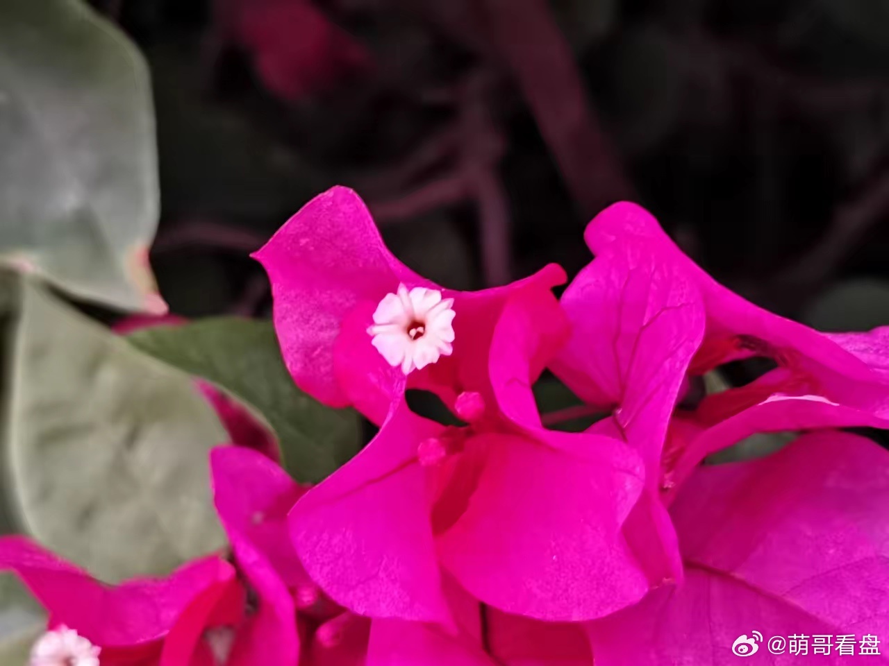 3月11日A股10只大涨潜力股预测（基于3月10日交易与晚间消息）风险提示：以下