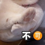 柳叶爱读科技