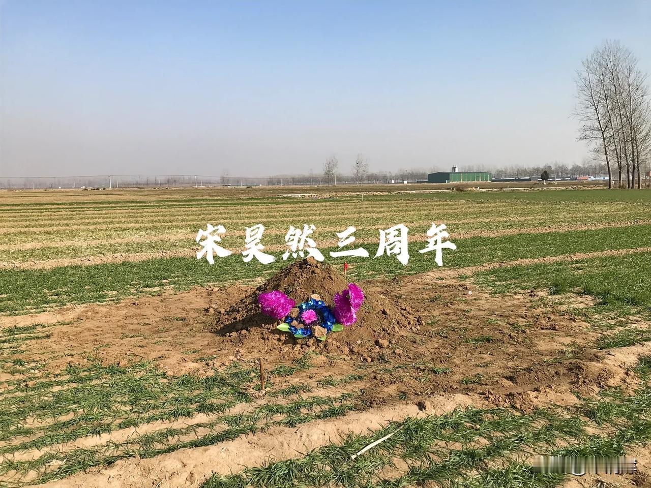 （1092）：三年前的今天，像今天一样的清晨，就是这个时间，深圳天未全亮，宋昊然