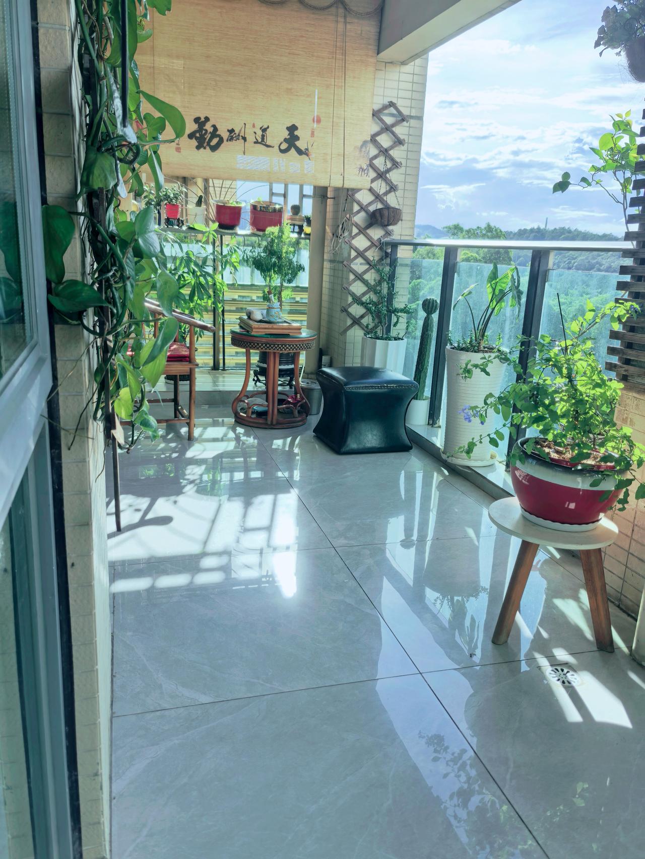 我的快乐，就是在家倒腾，整理花草，收拾阳台，一壶老茶，坐看云卷云舒。
风轻云淡，