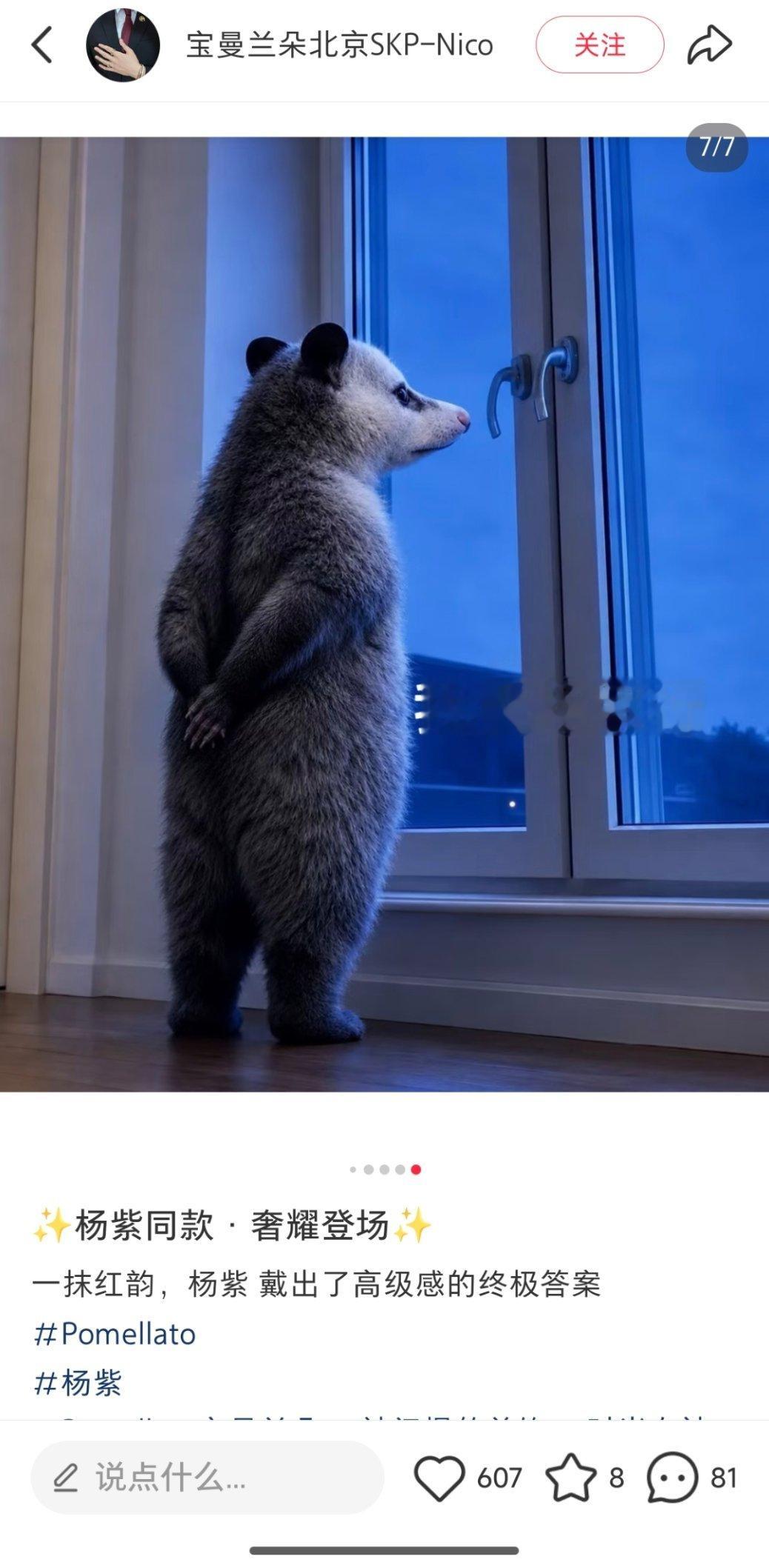 我真要被宝曼兰朵的柜哥给笑死了