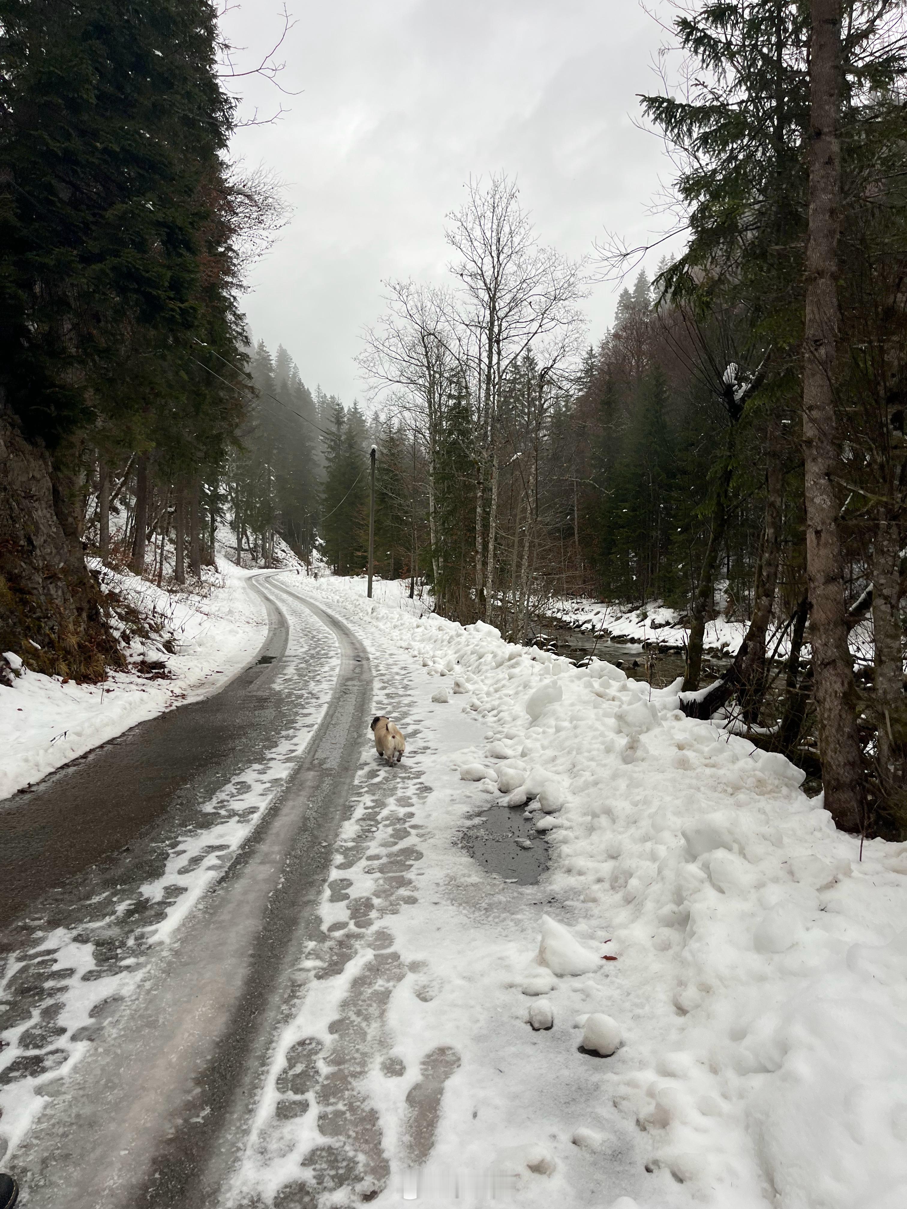 你的车在N档的时候能不能激活Autohold? 