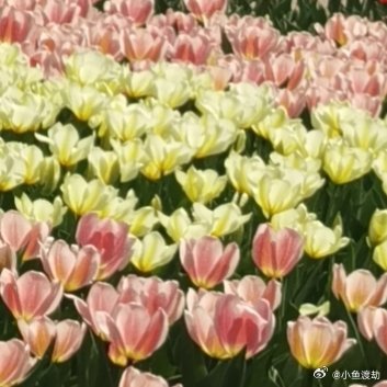 大部分内耗，都来源于对还没发生的事，提前反复预想最坏结果。事情还没开始，脑海里已
