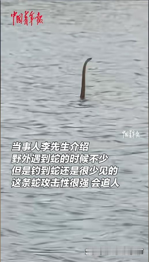 “钓鱼佬的噩梦！”5月18日报道，江西上饶，一男子野外钓鱼时，偶遇一条蛇在水里，