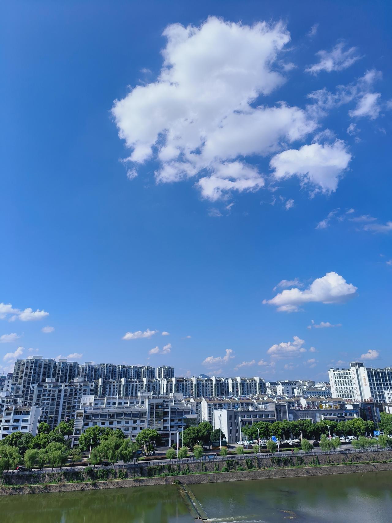 夏日炎炎随手拍实景图分享！

来也匆匆去也匆匆…匆匆那年…🌿