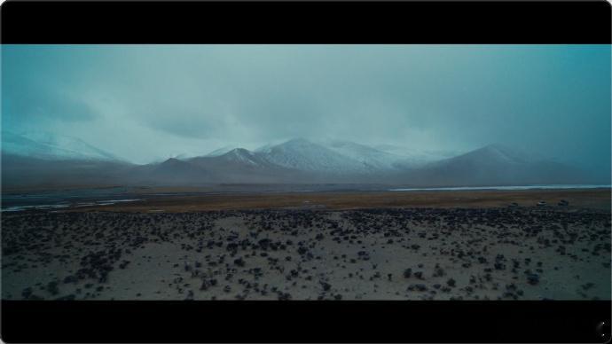 生命树是青海最强文旅宣传片生命树我在青海很想你已经默默把青海加进旅行计划里了，青