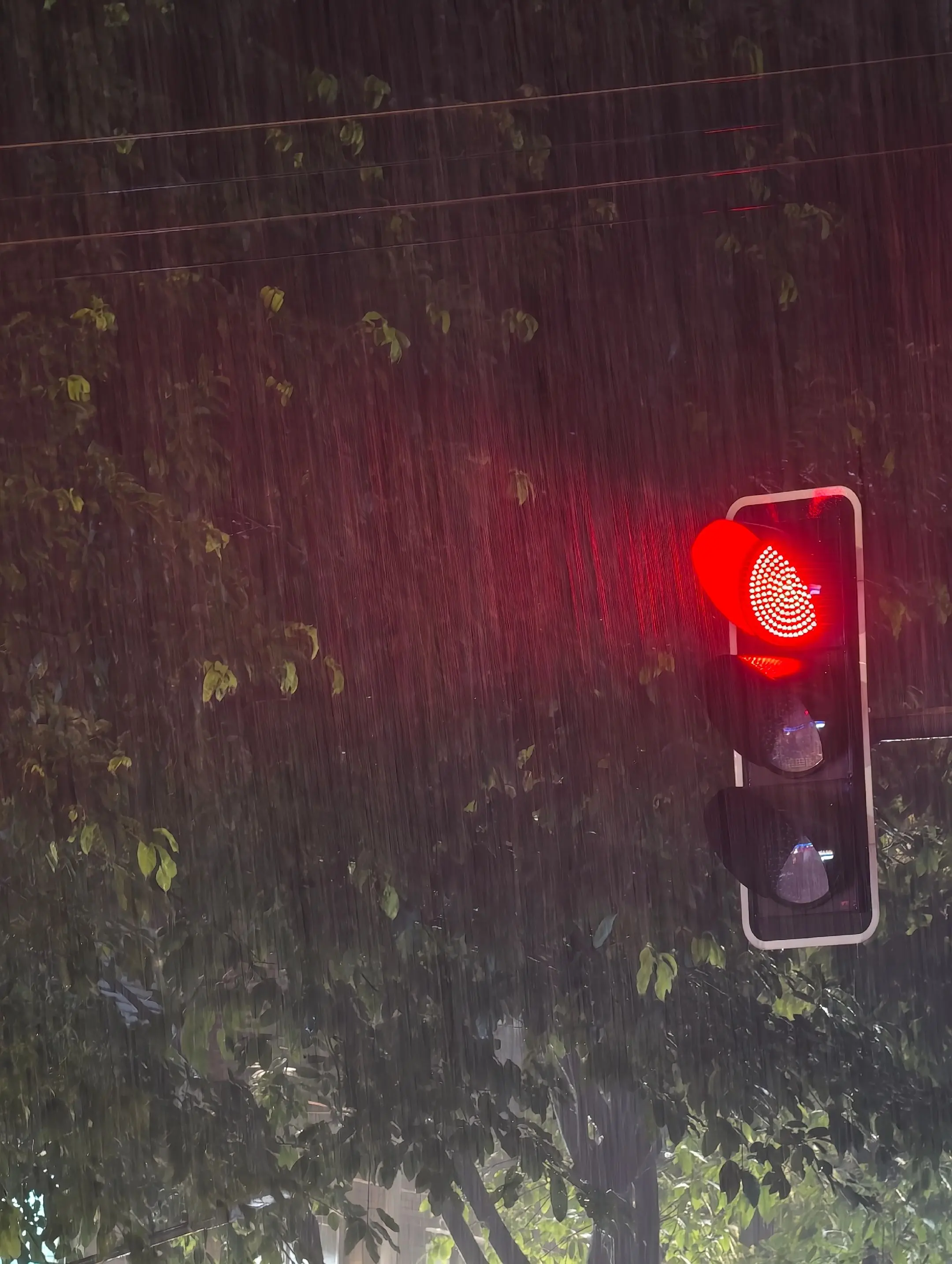 咁鬼大雨，真系底裤都湿。