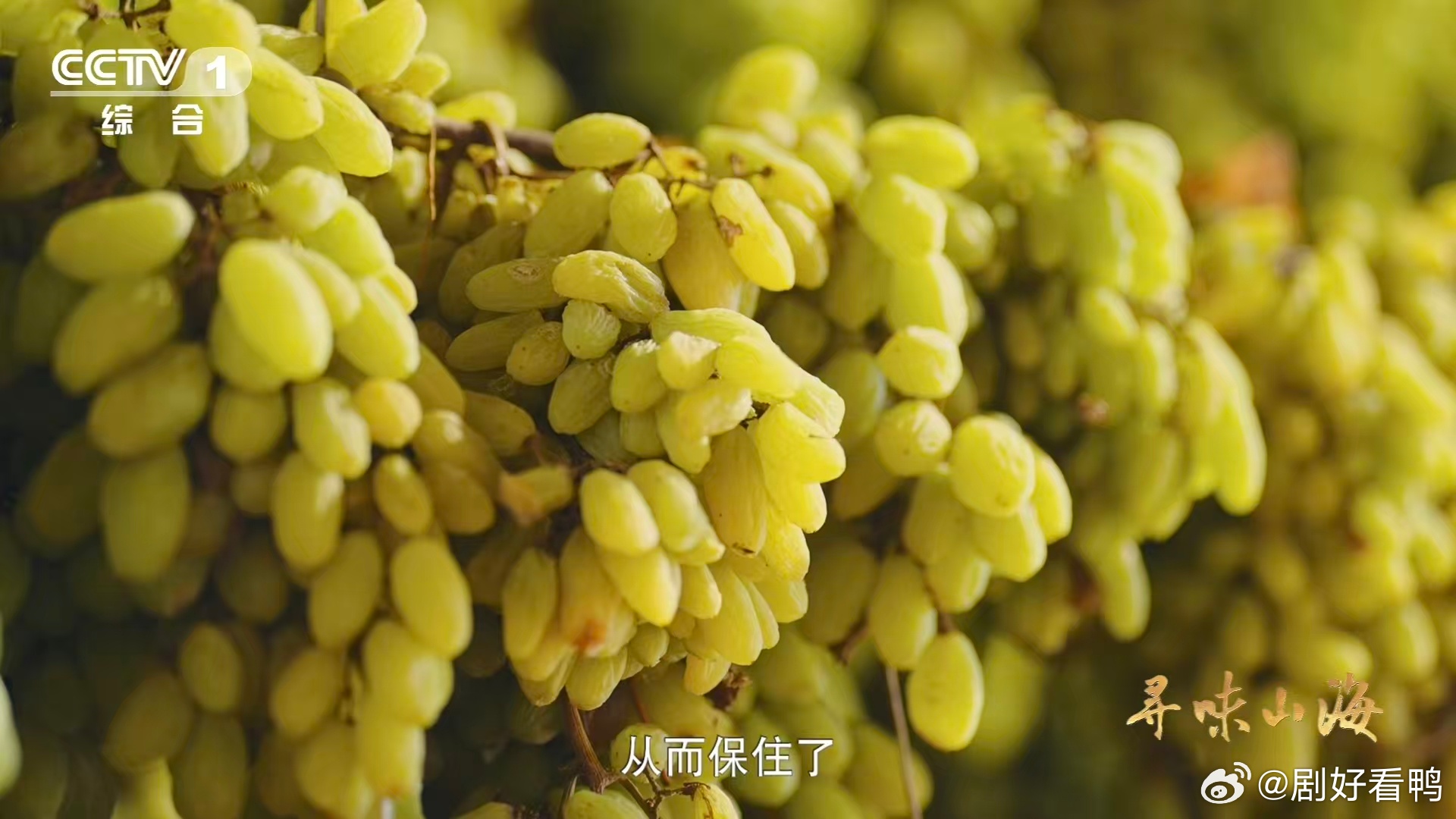 10颗葡萄干里9颗来自吐鲁番 你知道吗？全国大部分葡萄干都产自吐鲁番，这里500