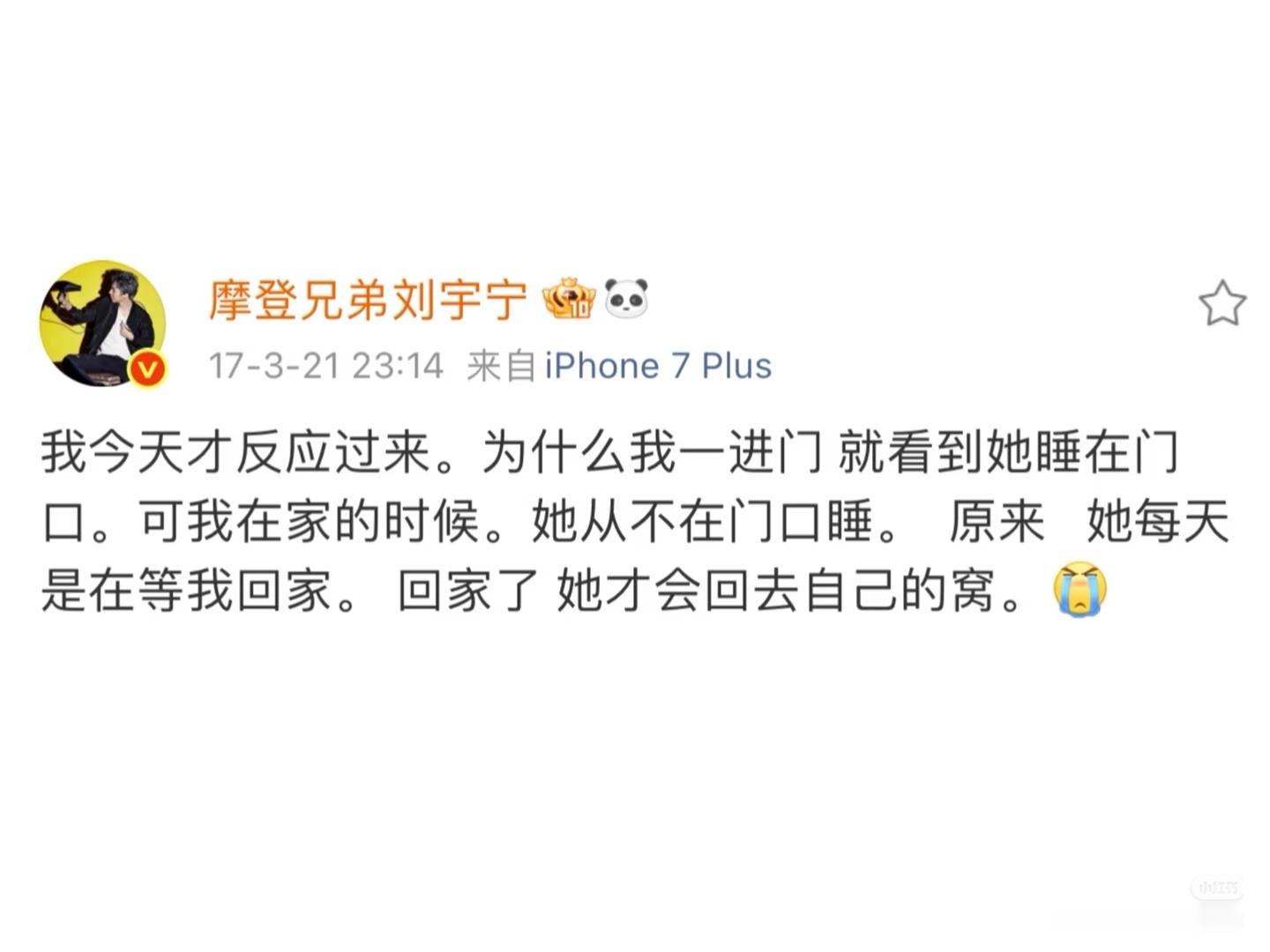 暖暖的。不管是呆米还是悠米。除了吃吃喝喝 小小的一颗心里只要哥哥吧。 
