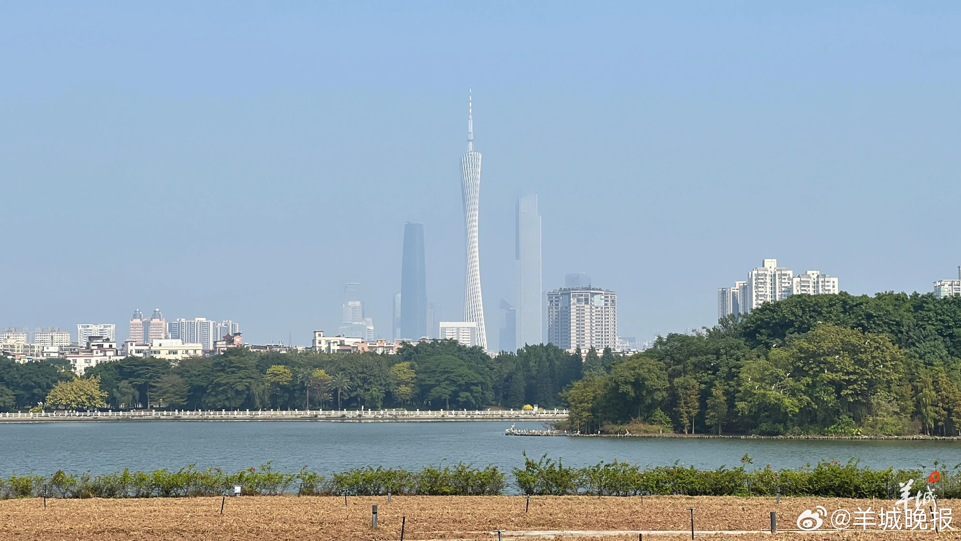 #广州冷空气正在憋大招#【#广州10日起冷空气加强为寒潮#，下周广州或经历“低温