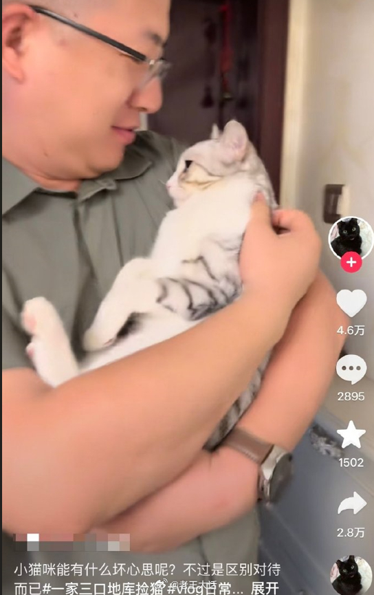 小猫咪能有什么坏心思呢，只不过是区别对待而已。 ​​​