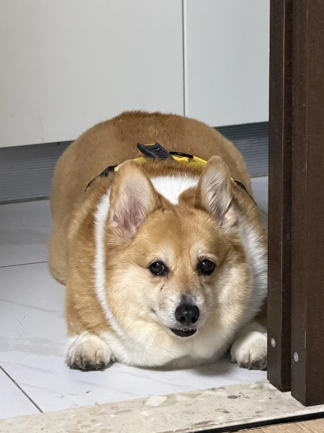 我时常以为那里摆了一张板凳