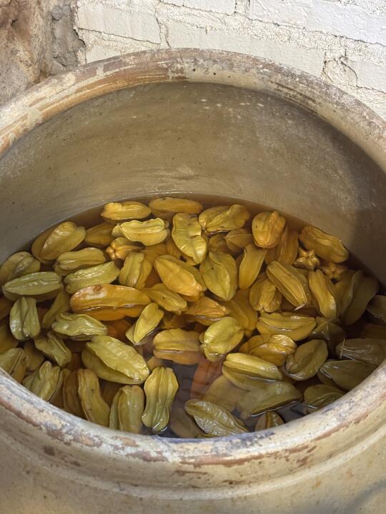 厦门这个叫什么啊。。