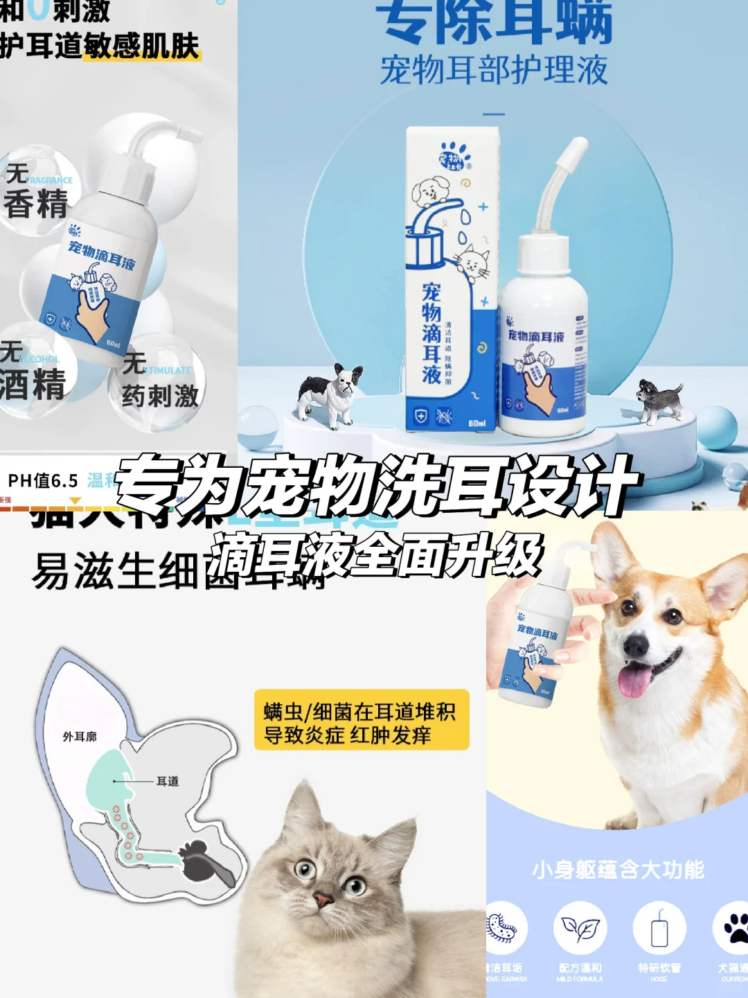 🐾宠物洗耳神器来了！