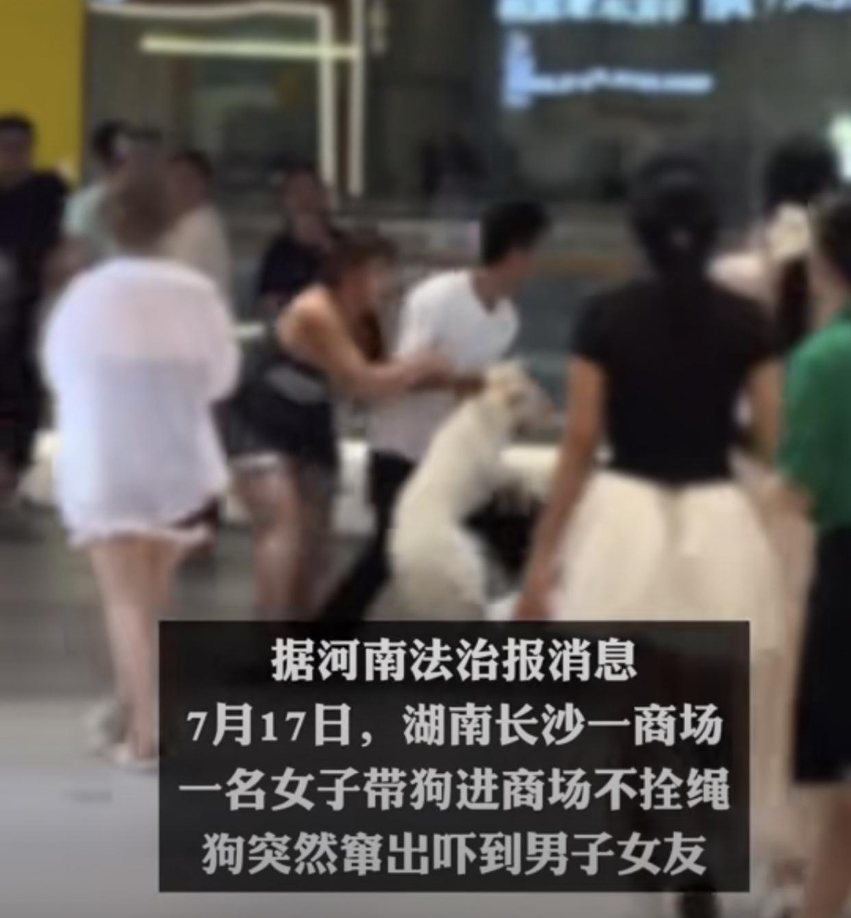 长沙商场内女子带狗不拴绳，吓到路人拒不道歉，男子摔狗扇耳光，全网吵翻！

事发当
