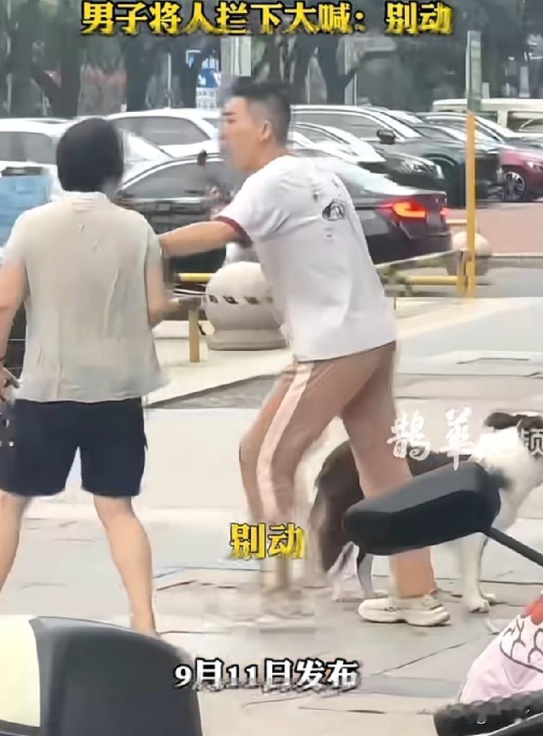 遛狗不牵绳，咬了人还想逃？

9月11日，江苏常州一处街头，一个大妈带着一条哈士