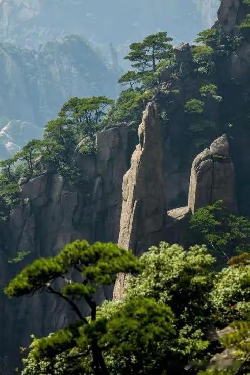 上联:高山不语拥千树
下联:流水无声纳百川
