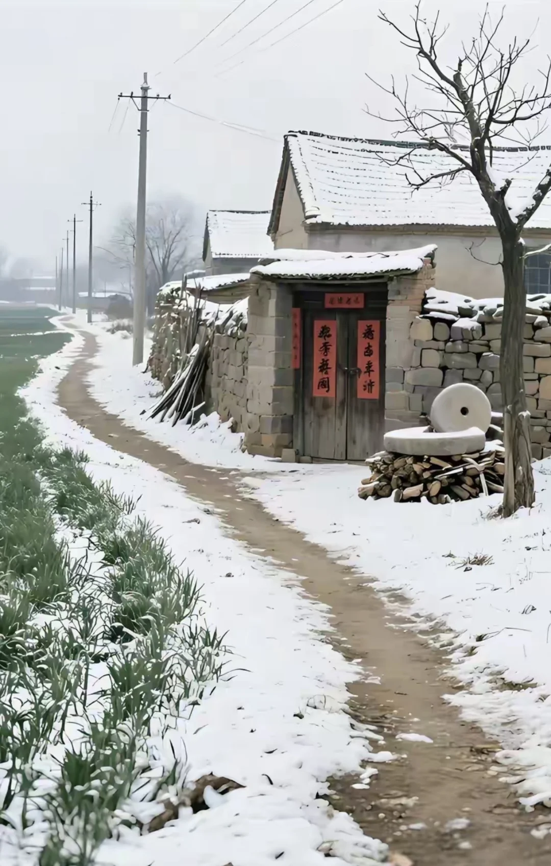 人生，难就难在要不断和创伤作斗争。 创伤决定的是一个人的人格，性格，以...