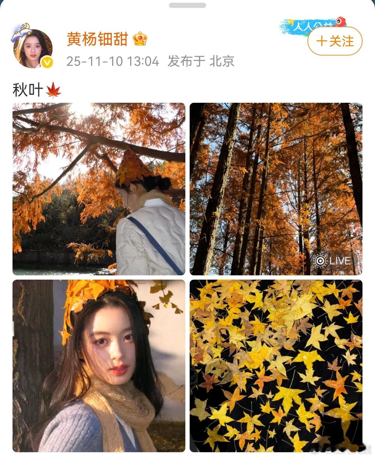 【黄杨钿甜耳环风波后首次更新】黄杨钿甜时隔半年更新动态 11月10日，时隔近半年