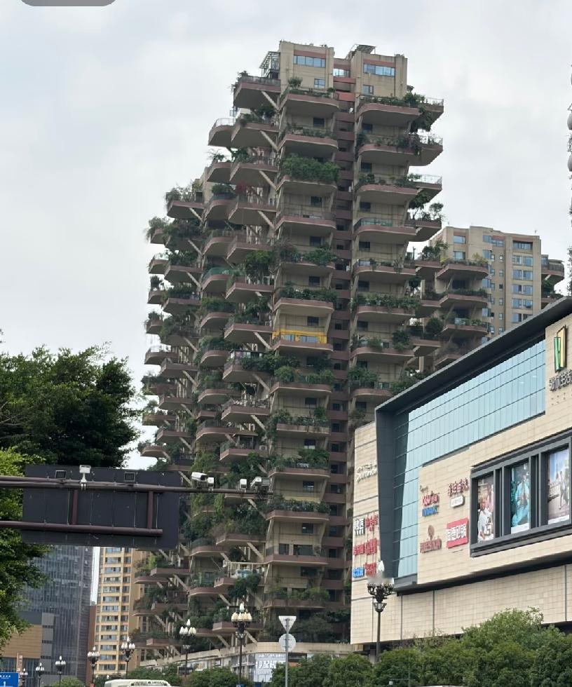 这前几年宣传的第四代住宅，会成为新趋势吗？