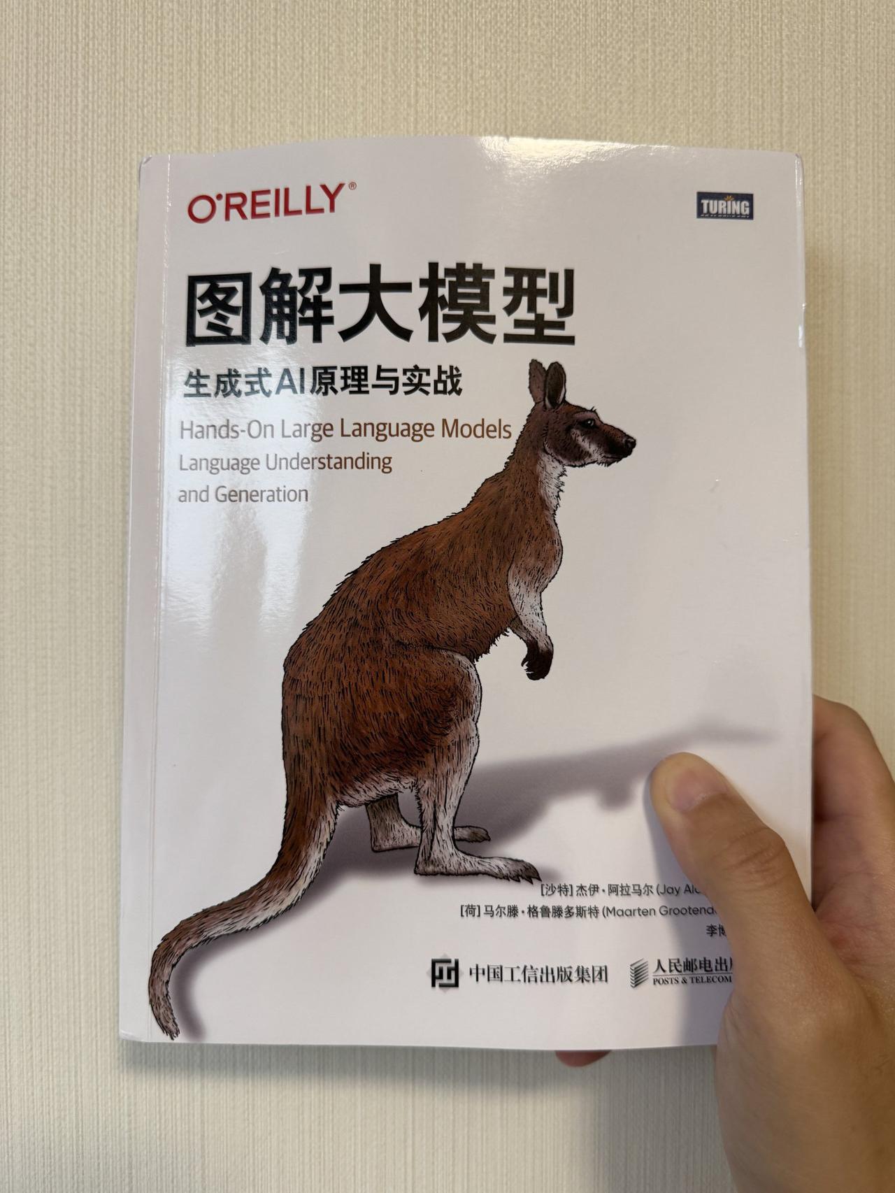 图解大模型今年看到的最好读的一本大模型书籍，深入浅出，加上了图解，让不少原本偏不