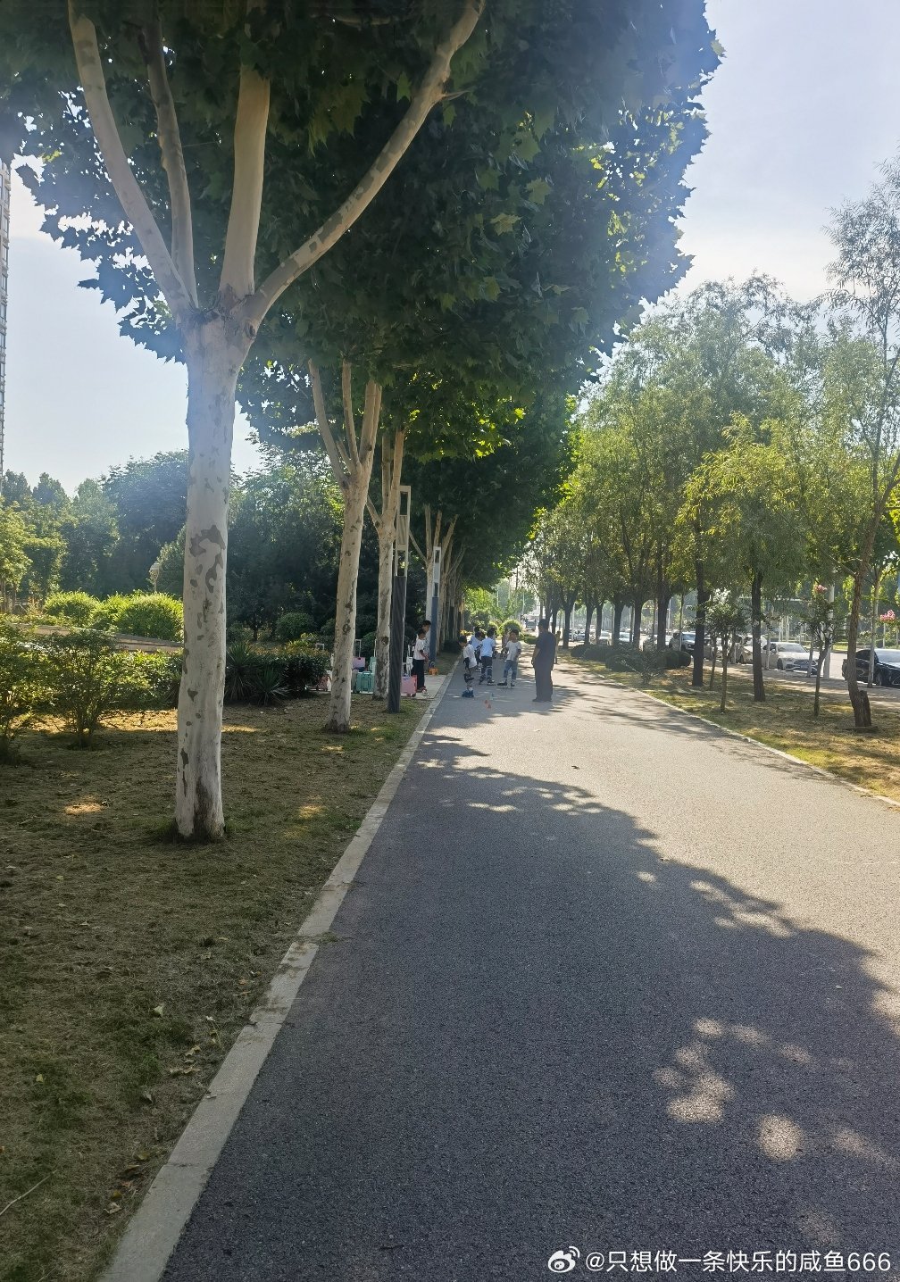 上午8-10点，下午4-6点，小抪一般去半天，因为下午她有课，下午放学了会在小区