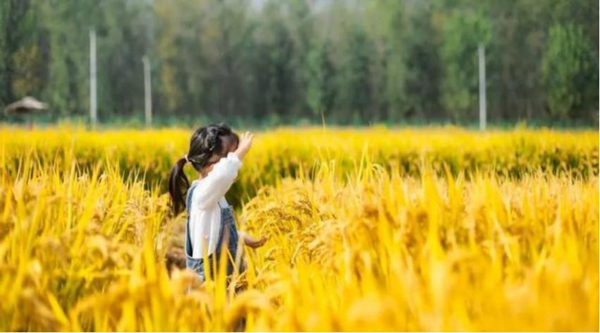 当孩子要买东西时，拒绝是下策，满足是下下策，上策是什么？
在孩子的成长过程中，面