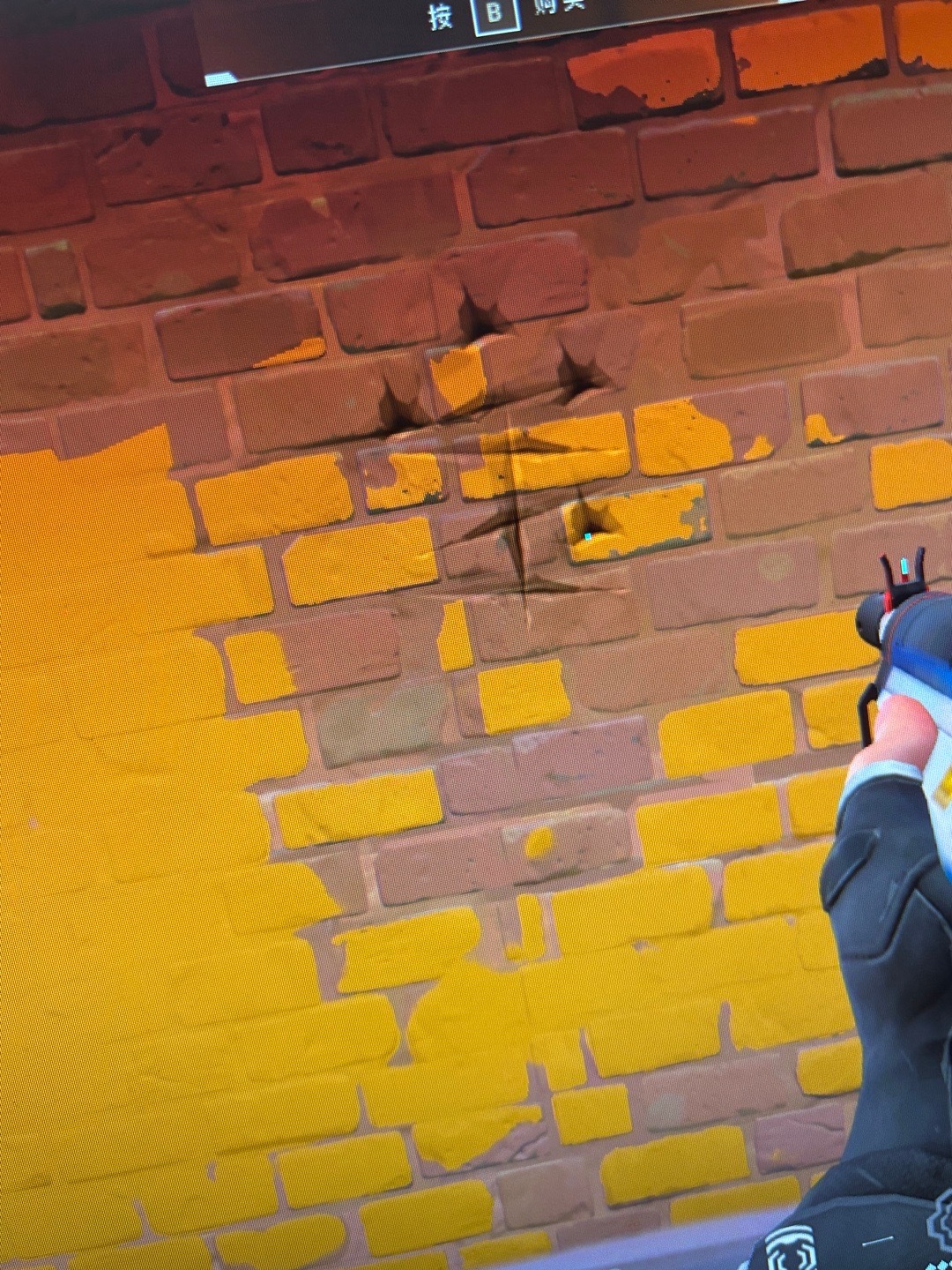 这只猪  专栏 · 猫猫日记