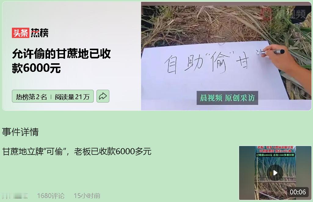 没成想，那片甘蔗地成了深夜里的“网红打卡点”。

经过时，我总忍不住慢下车速。黑