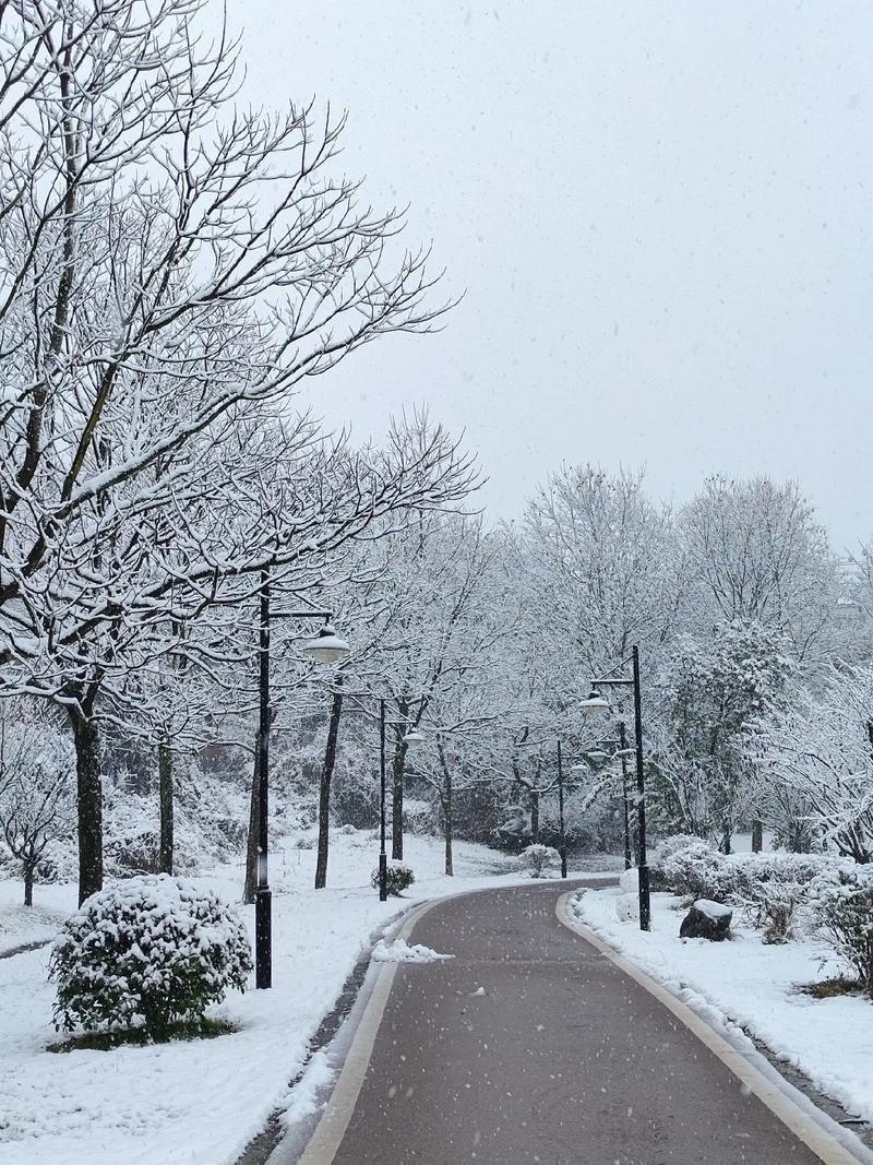 下雪 现在总是农历二月下雪，农历十一二月该下雪不下。 