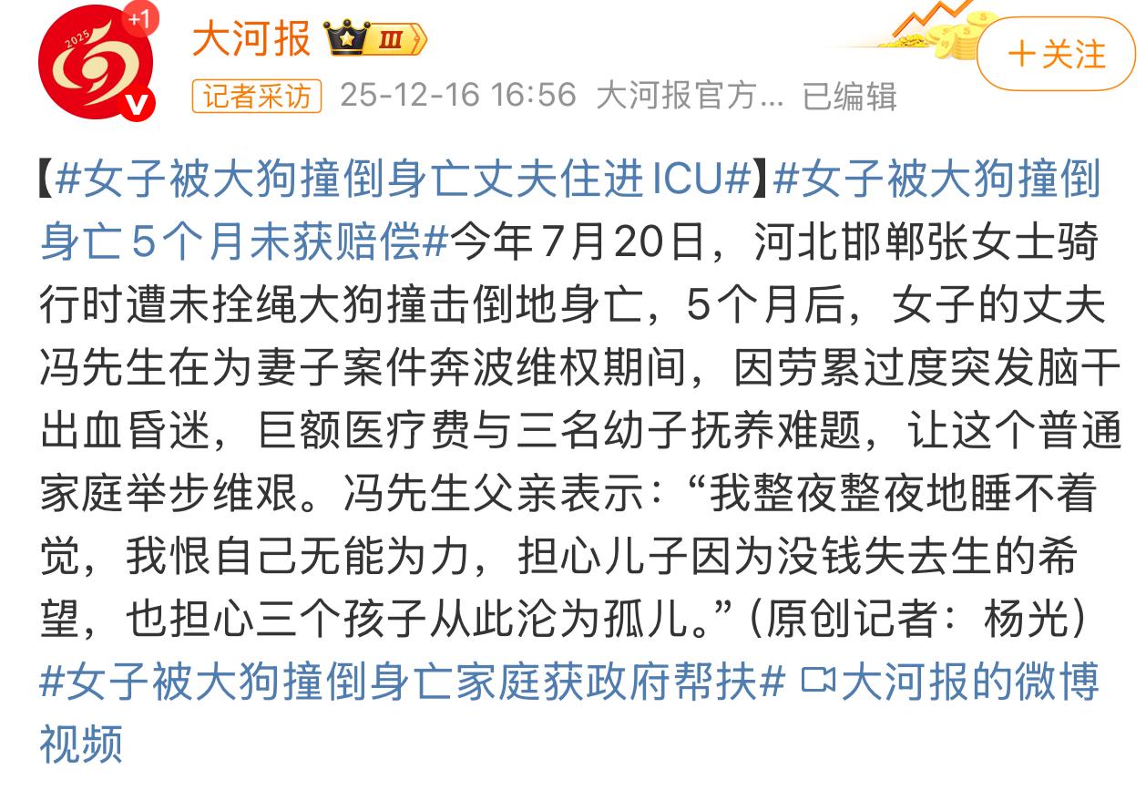 “抚养大型犬类动物必须和外卖员一样培训上岗”，大型犬只造成人员伤亡事件屡见不鲜，