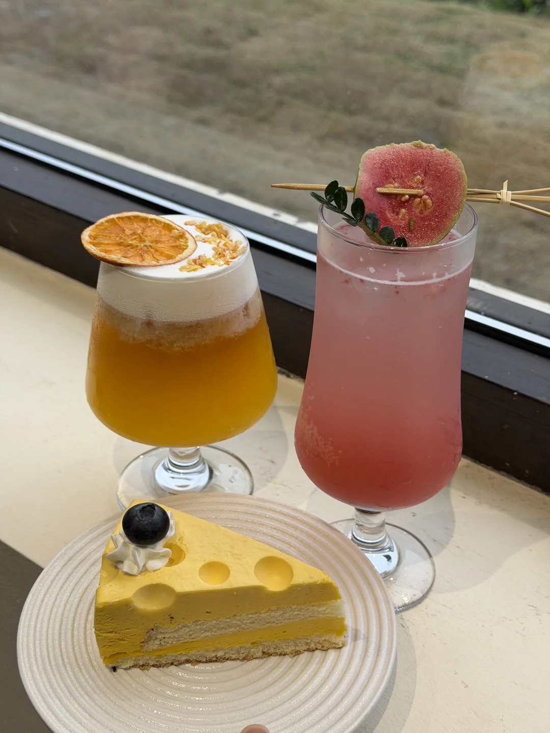 嘉兴新店！🐶宠物友好的遛狗咖啡店小院！